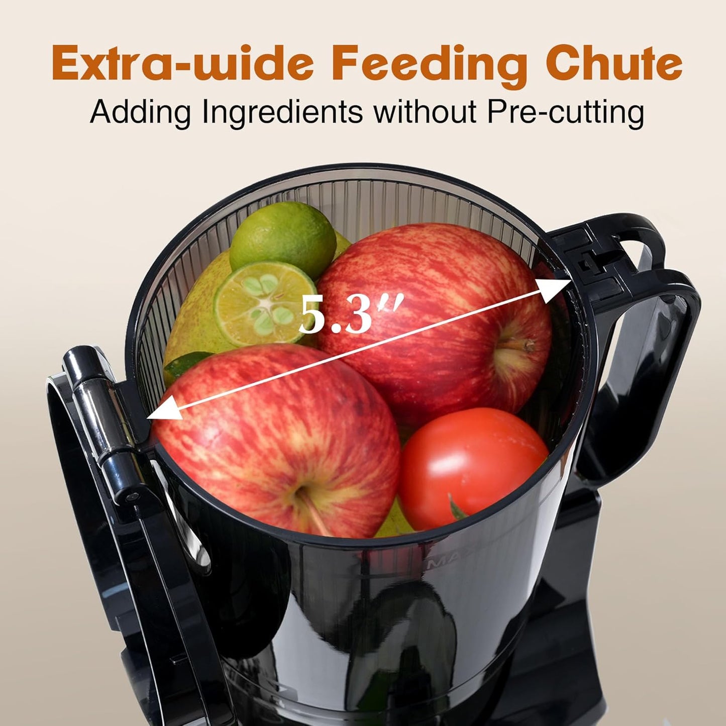 Fretta F6000 Cold Press Juicer Machines